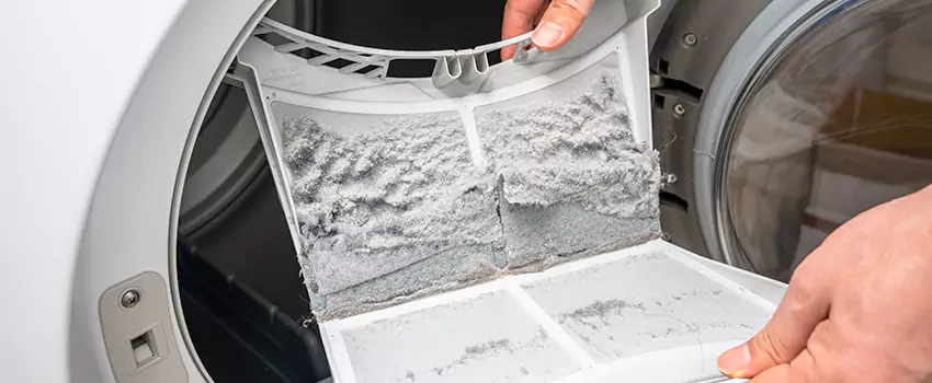 Best Dryer Lint Removal Company in Sikeston, Missouri