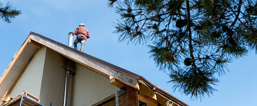 Birds Removal Contractors from Chimney in Sikeston, MO