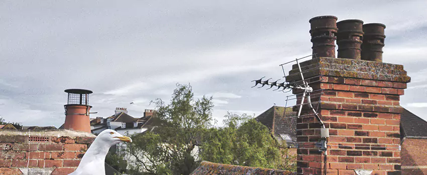 Chimney Cleaning And Restoration in Sikeston, Missouri